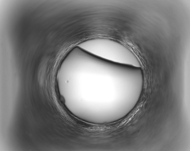 X0000093760049200710160844