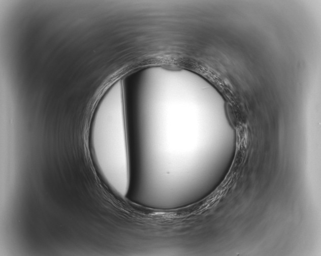 X0000093760051200710160844