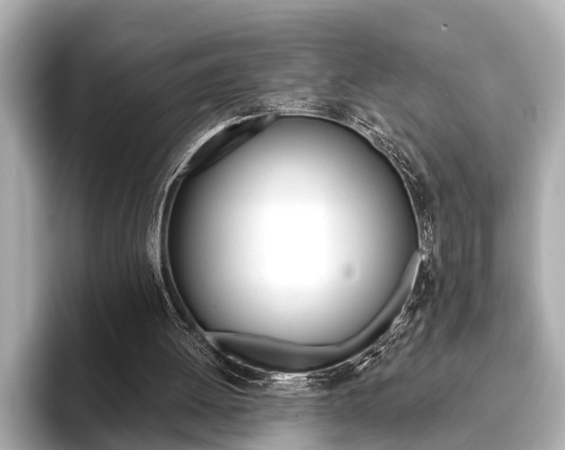 X0000093760052200710160844