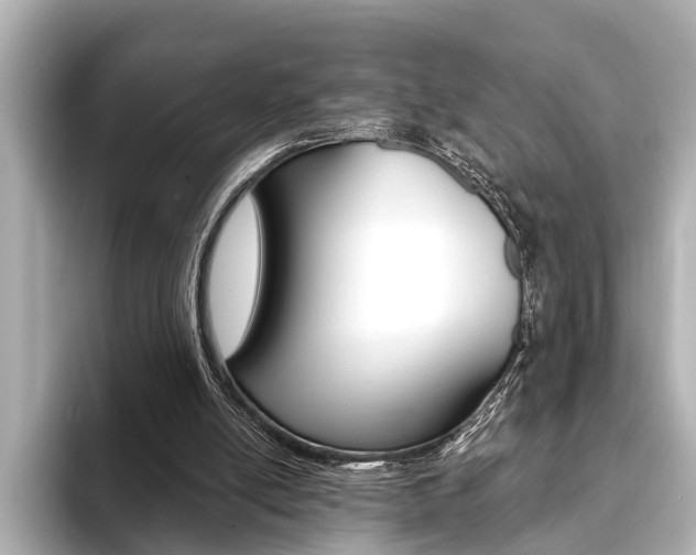X0000093760054200710160844