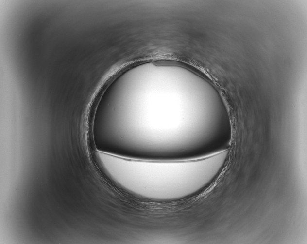 X0000093760056200710160844