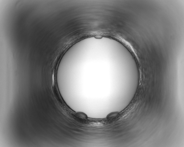 X0000093760061200710160844