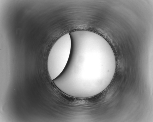 X0000093760069200710160844