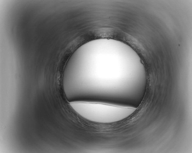 X0000093760073200710160845
