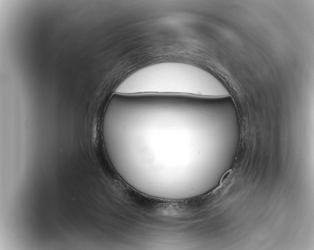 X0000093760074200710160845