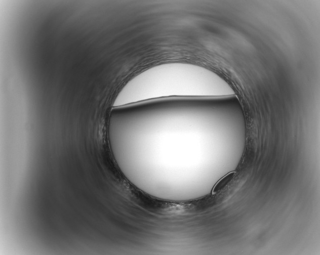 X0000093760083200710160845