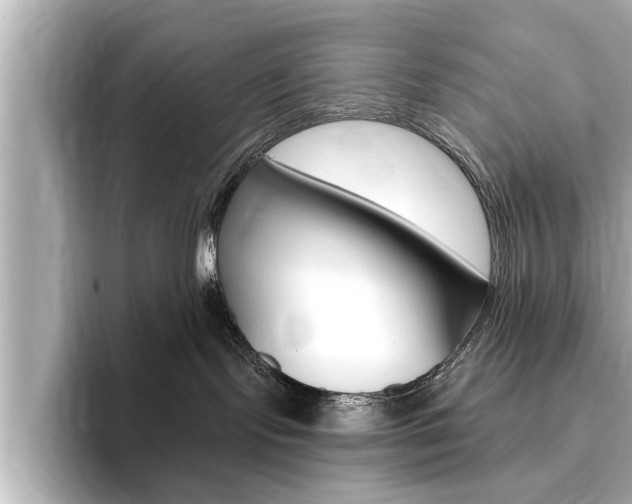 X0000093760095200710160845