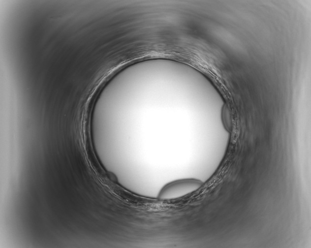 X0000093760098200710160844