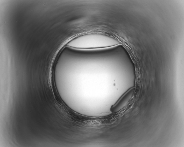 X0000093760100200710160844