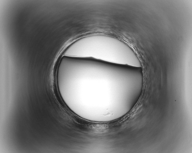 X0000093760102200710160844
