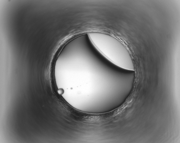 X0000093760104200710160844