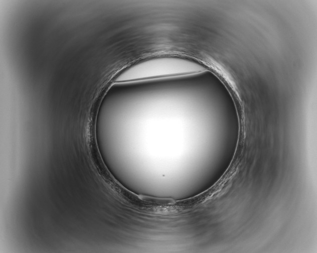 X0000093760105200710160844