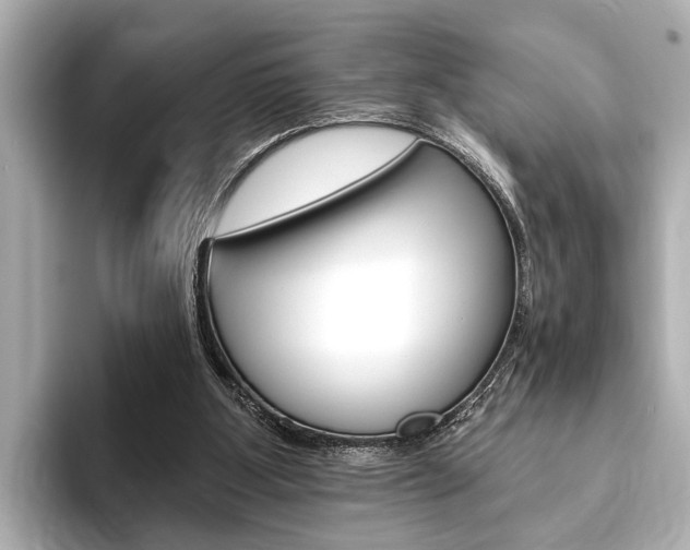 X0000093760107200710160844
