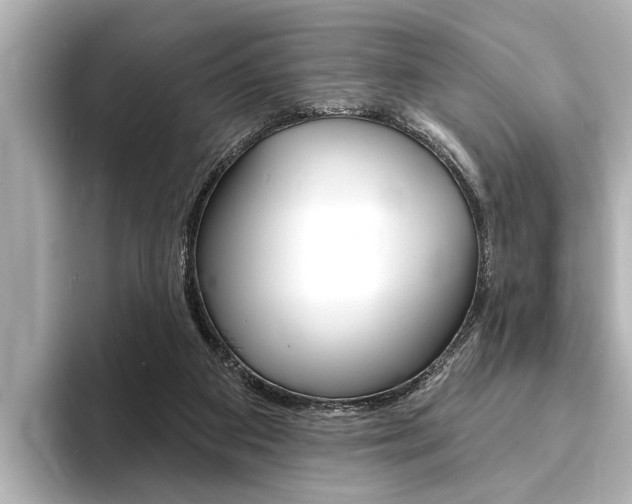 X0000093760113200710160844