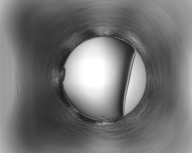 X0000093760125200710160844