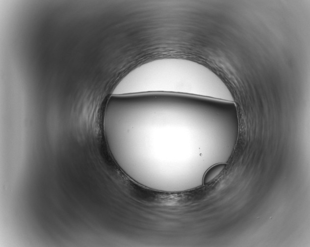 X0000093760131200710160844