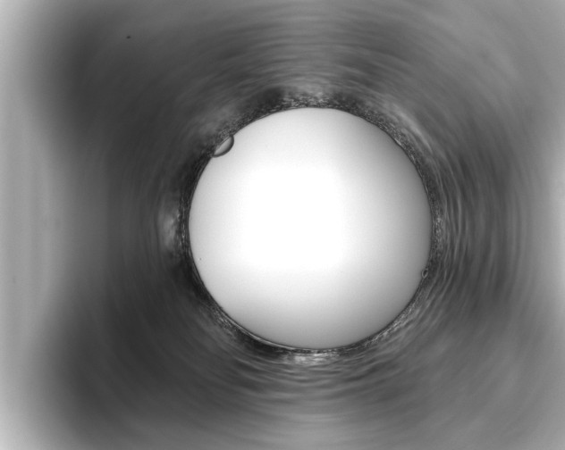 X0000093760134200710160844