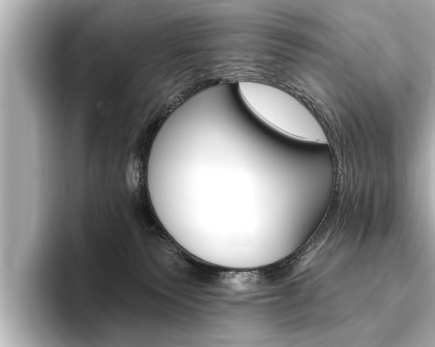 X0000093760135200710160844