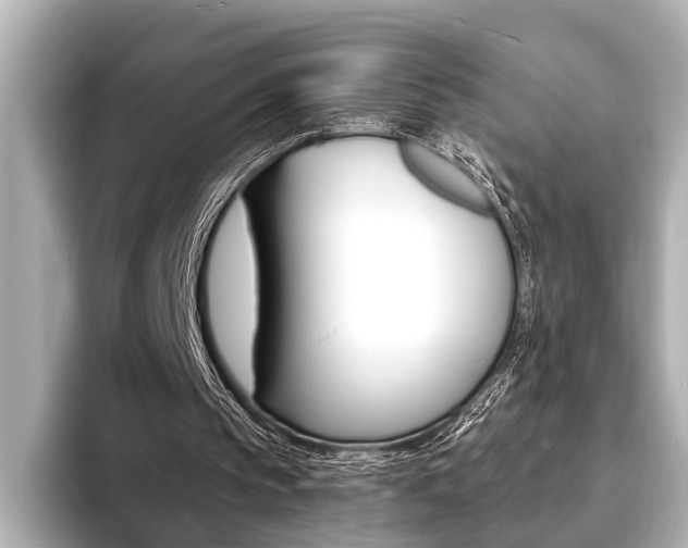 X0000093760145200710160843