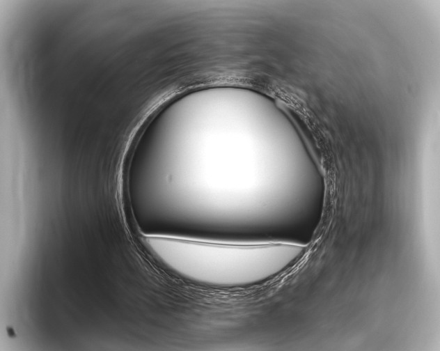 X0000093760148200710160843