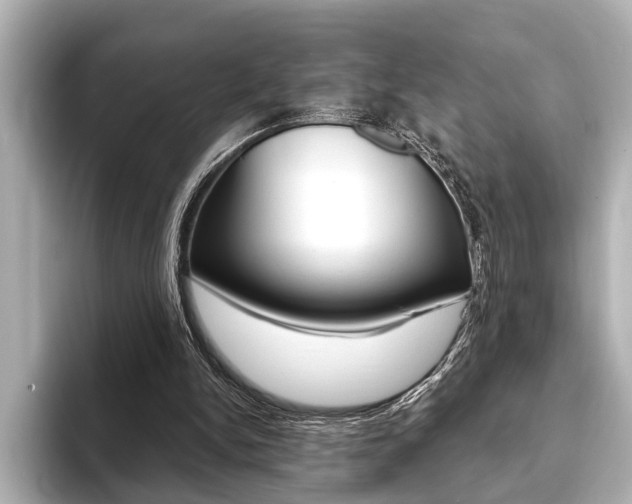 X0000093760150200710160843