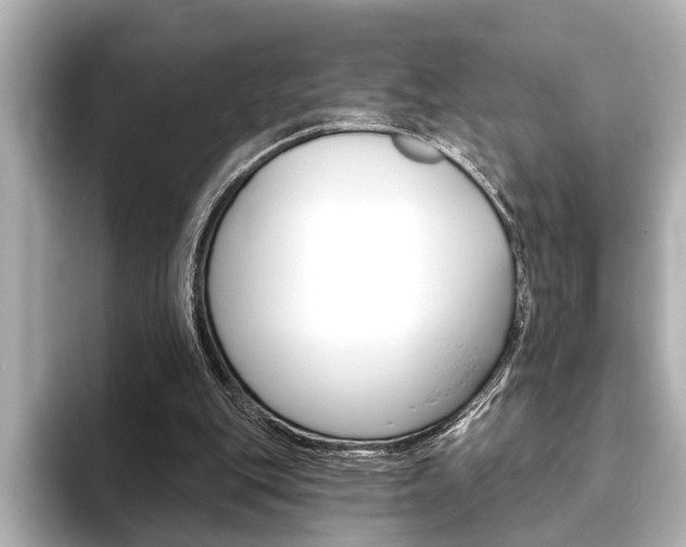 X0000093760151200710160843