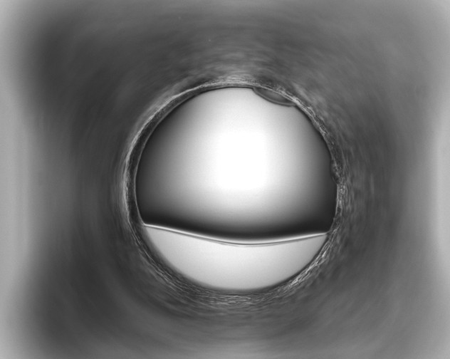 X0000093760152200710160843