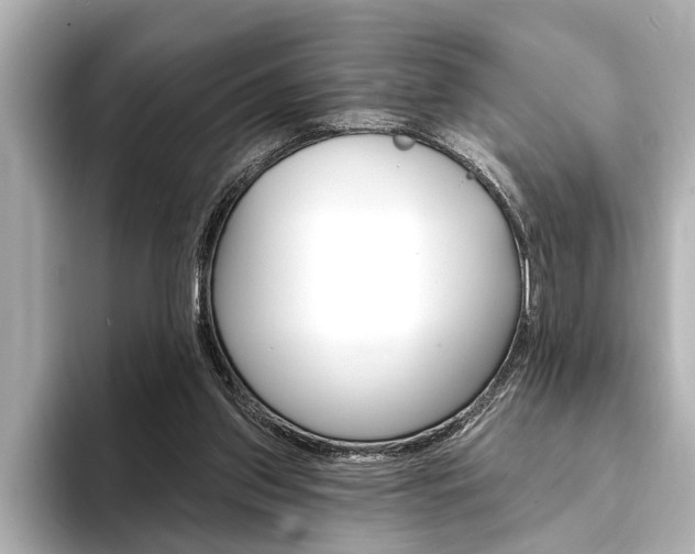 X0000093760157200710160843