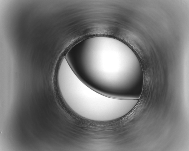 X0000093760160200710160843
