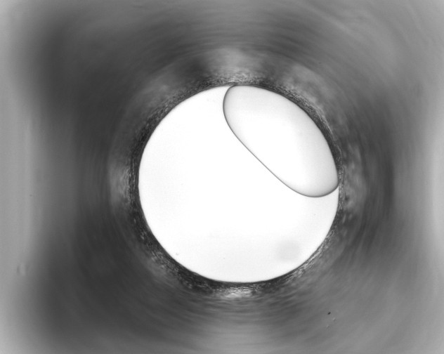 X0000093760162200710160843