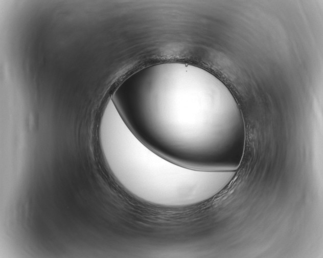 X0000093760164200710160843