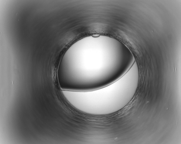 X0000093760168200710160843