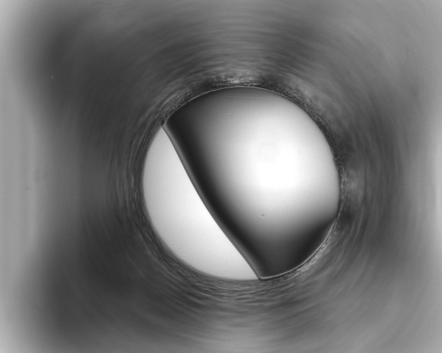 X0000093760170200710160843