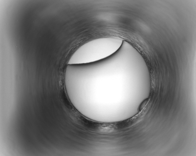 X0000093760175200710160843