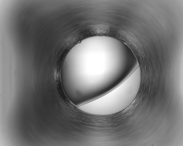 X0000093760176200710160843