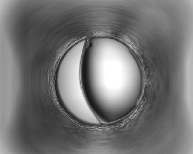 X0000093760193200710160843