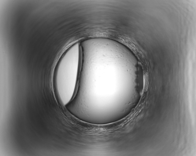 X0000093760195200710160843