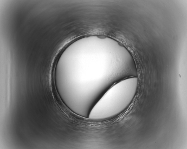 X0000093760196200710160843
