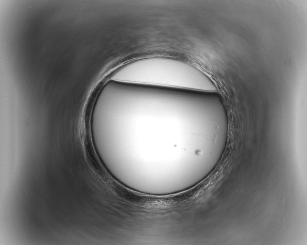 X0000093760198200710160843
