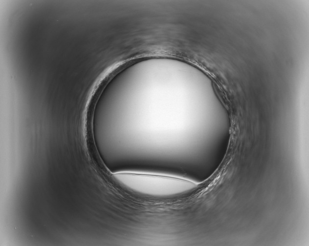 X0000093760200200710160843