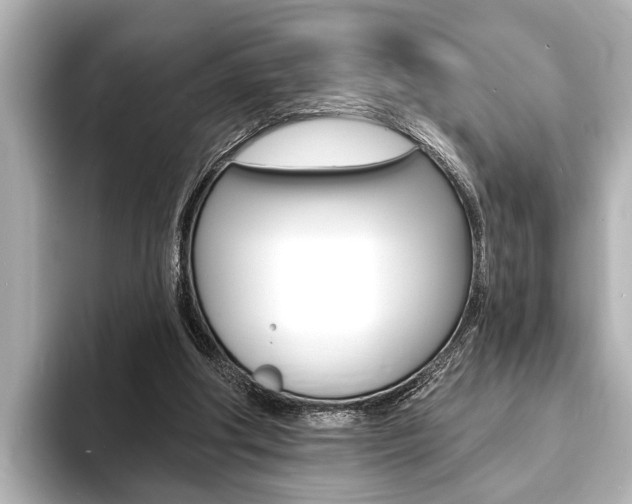 X0000093760202200710160843