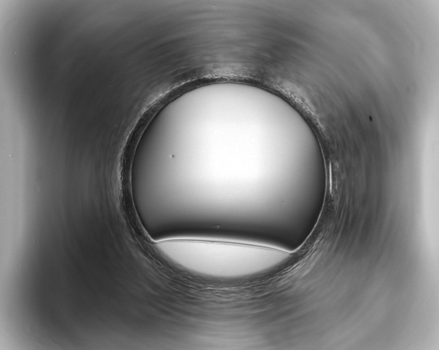 X0000093760204200710160843