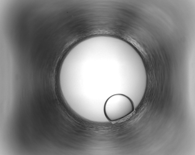 X0000093760207200710160843