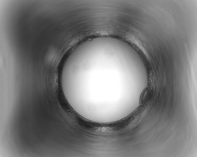 X0000093760212200710160843