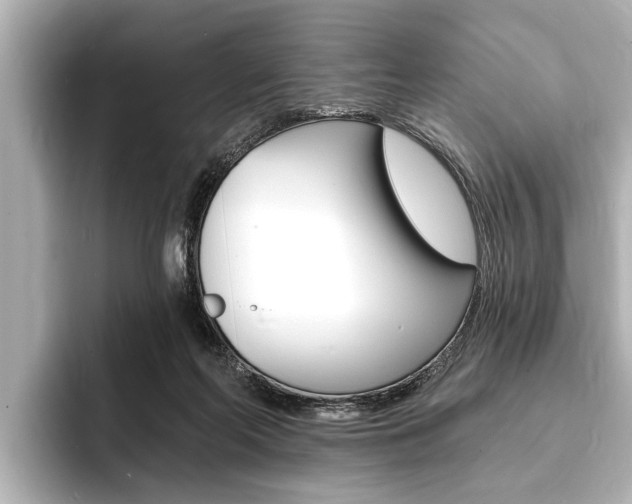 X0000093760214200710160843