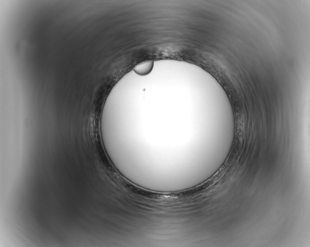 X0000093760222200710160843