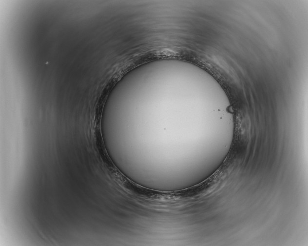 X0000093760223200710160843