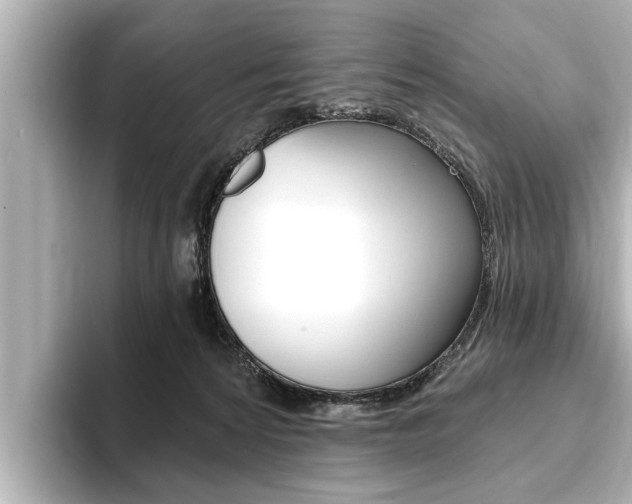X0000093760224200710160843