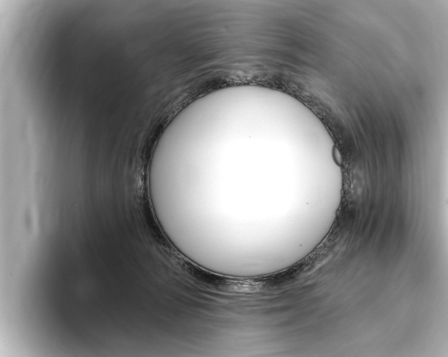 X0000093760226200710160843