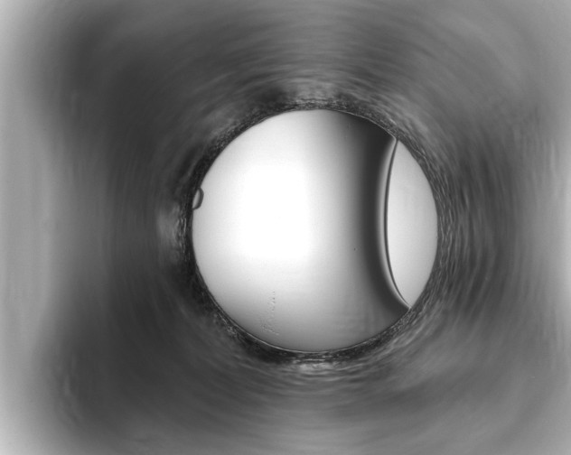 X0000093760228200710160842